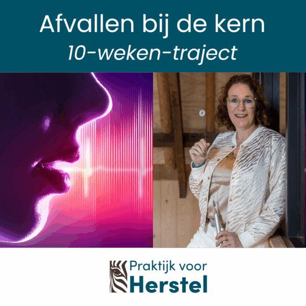 Afvallen bij de kern