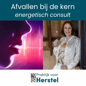 Afvallen bij de kern - energetisch consult