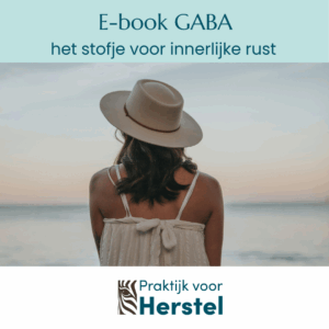 Ebook Gaba