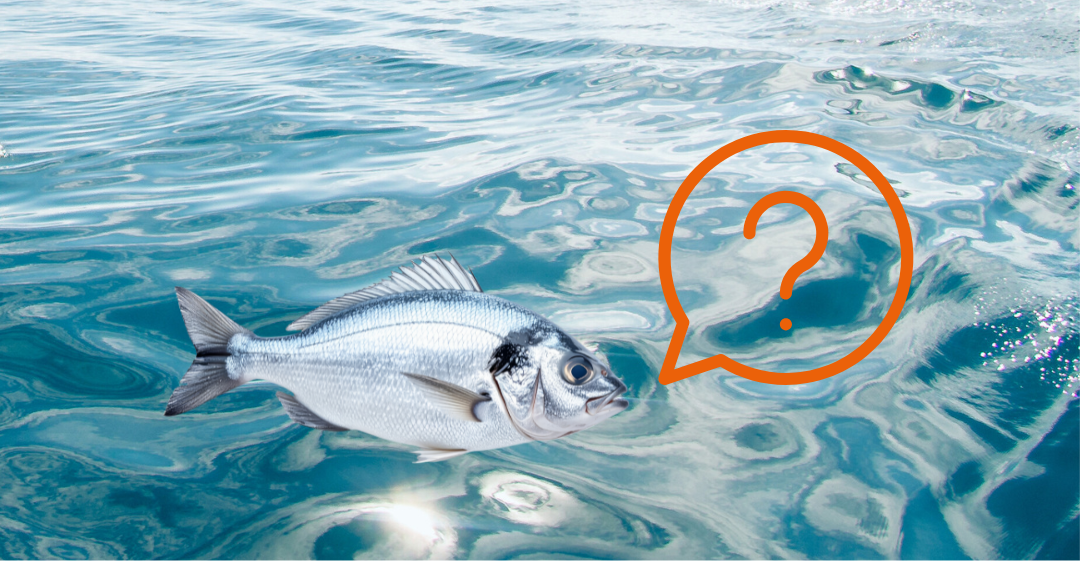 Veel gestelde vragen over Omega-3 — Alles wat je écht wilt weten