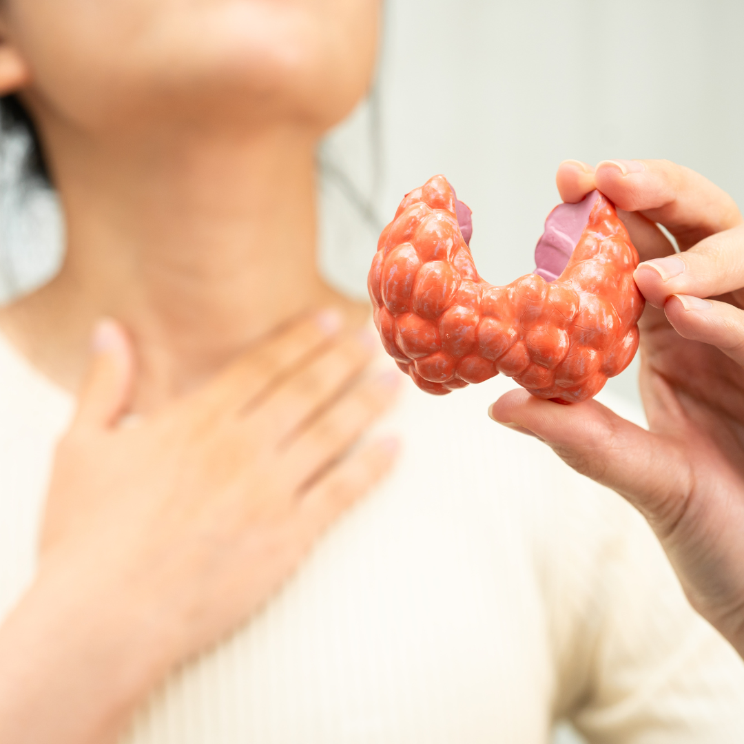 Overgang & Schildklier: De Gemiste Schakel bij Vage Klachten